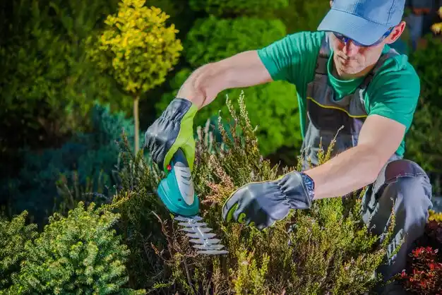 landscaping services Valley